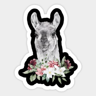 Floral Wild Llama Head Animal Spirit Costume Wildlife Rescue Sticker